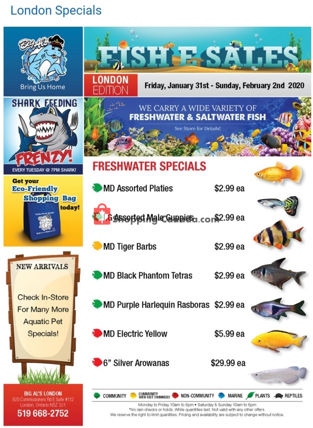 Big Al's flyer from Friday January 31, 2020 to Thursday February 6, 2020 - page 1