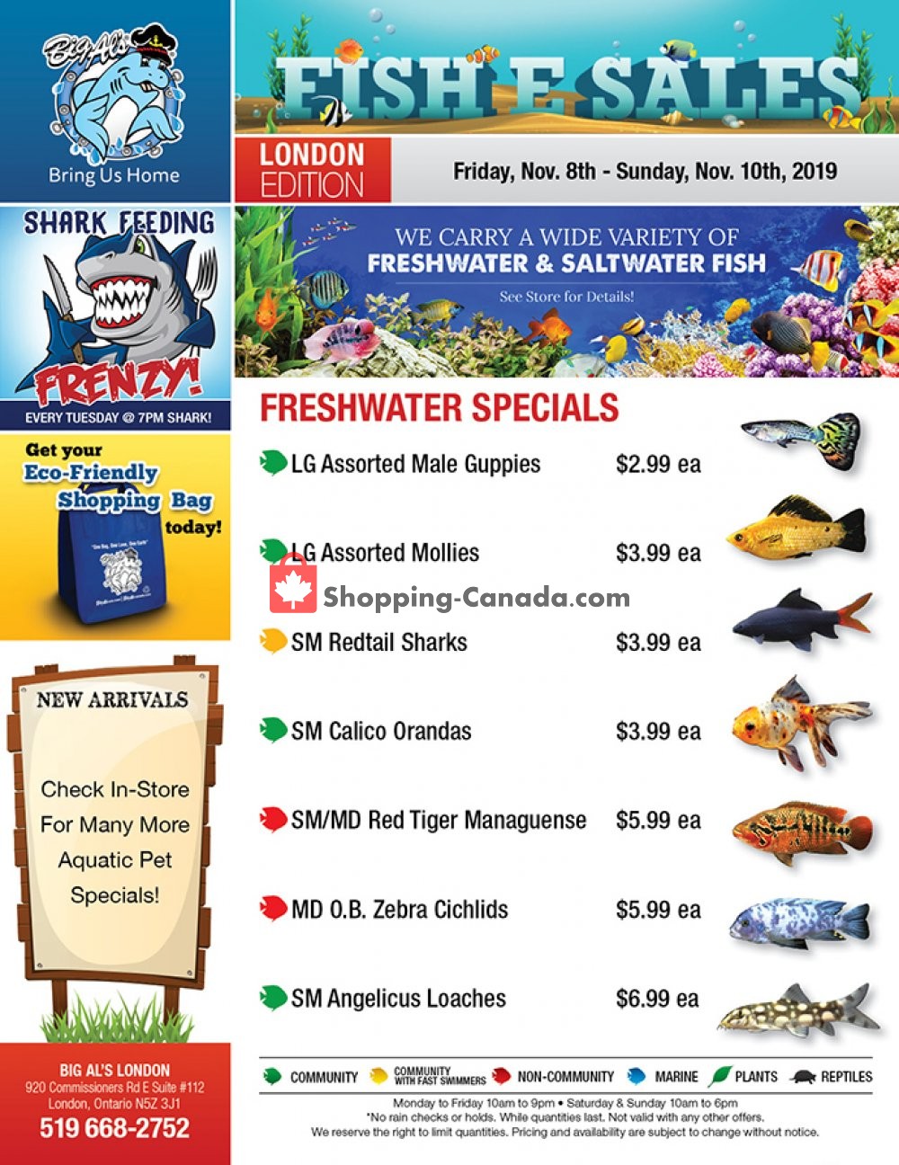 Big Al's flyer from Friday November 8, 2019 to Sunday November 10, 2019 - page 1