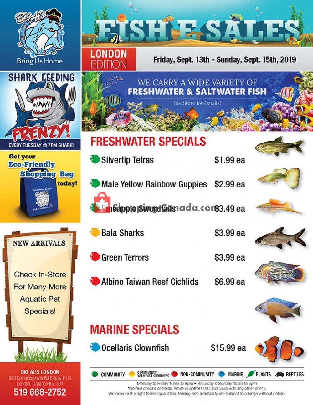 Big Al's flyer from Friday September 13, 2019 to Sunday September 15, 2019 - page 1
