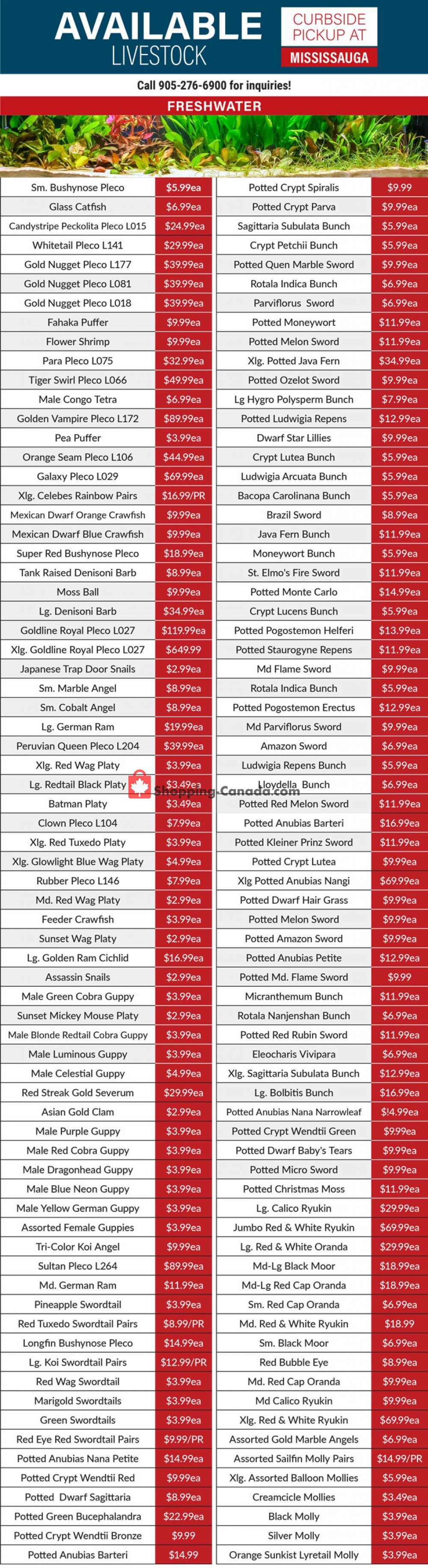 Big Al's flyer from Wednesday April 22, 2020 to Friday May 29, 2020 - page 1