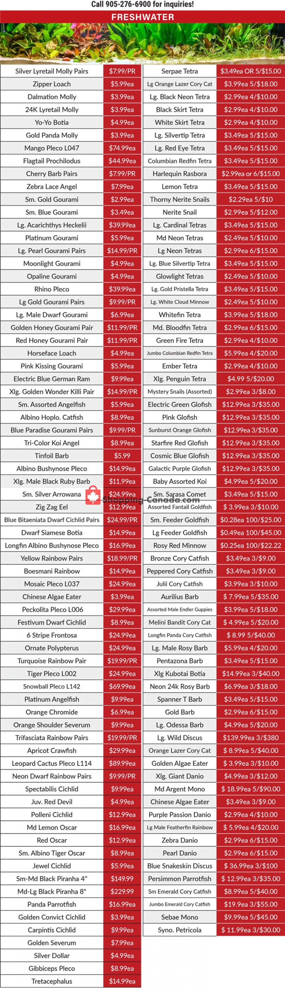 Big Al's flyer from Wednesday April 22, 2020 to Friday May 29, 2020 - page 2