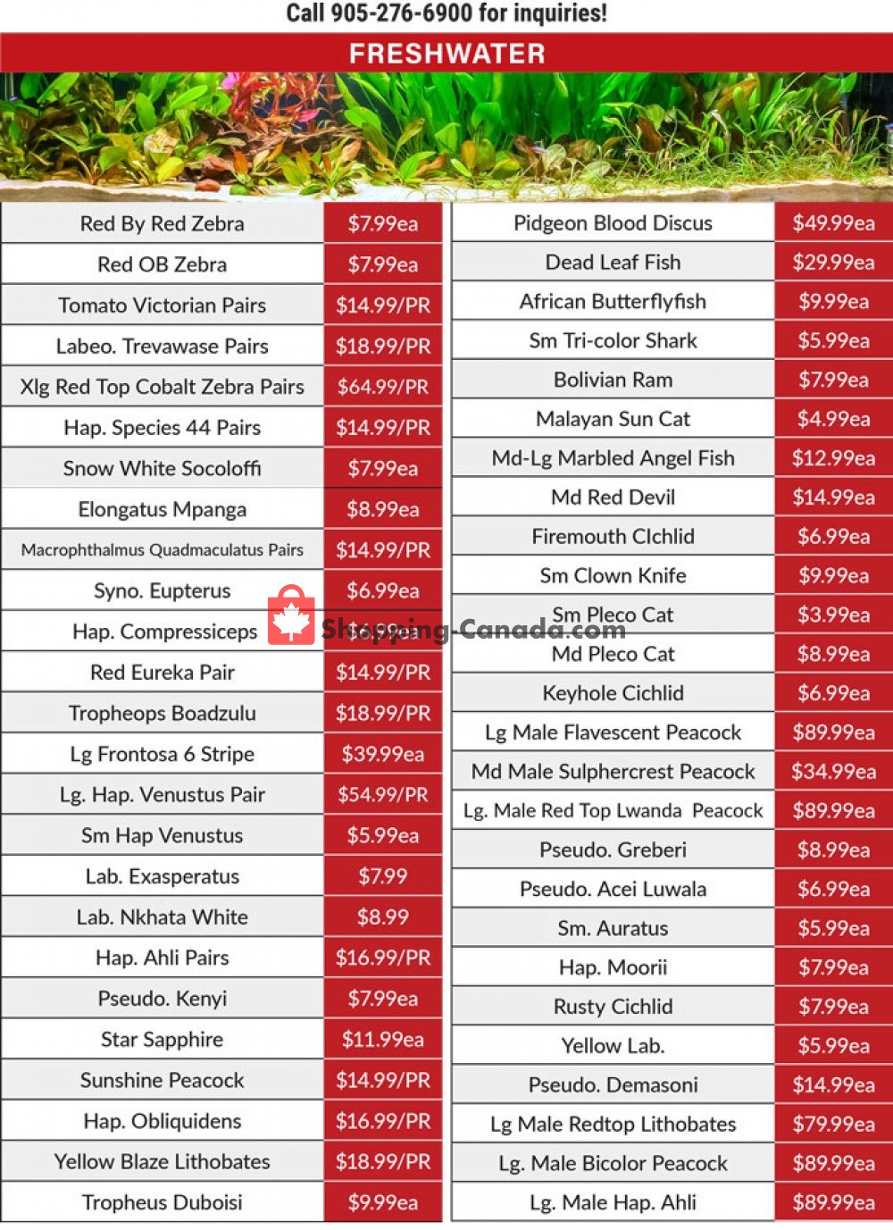 Big Al's flyer from Wednesday April 22, 2020 to Friday May 29, 2020 - page 3