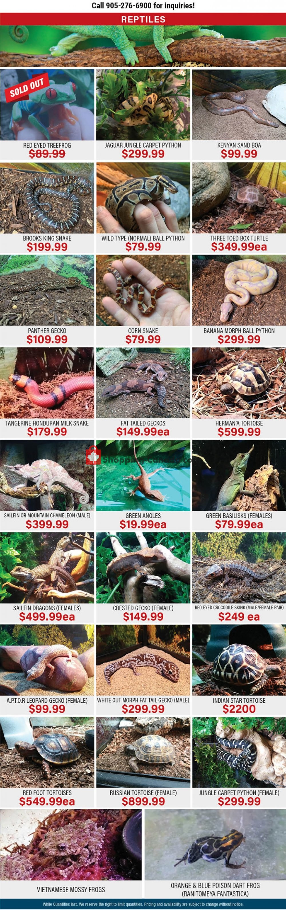 Big Al's flyer from Wednesday April 22, 2020 to Friday May 29, 2020 - page 4