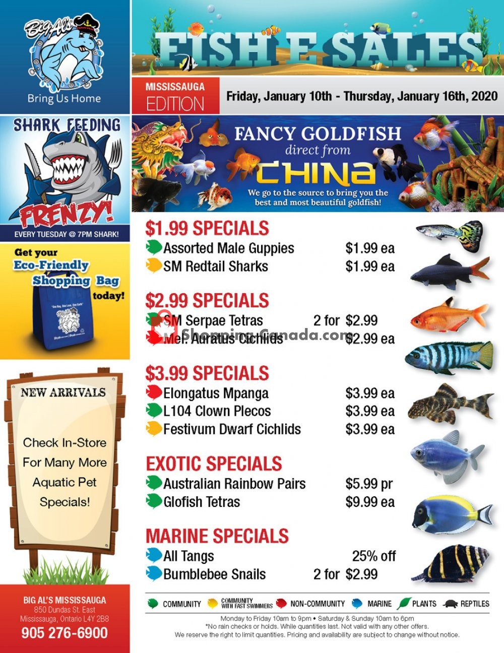 Big Al's flyer from Friday January 10, 2020 to Thursday January 16, 2020 - page 1