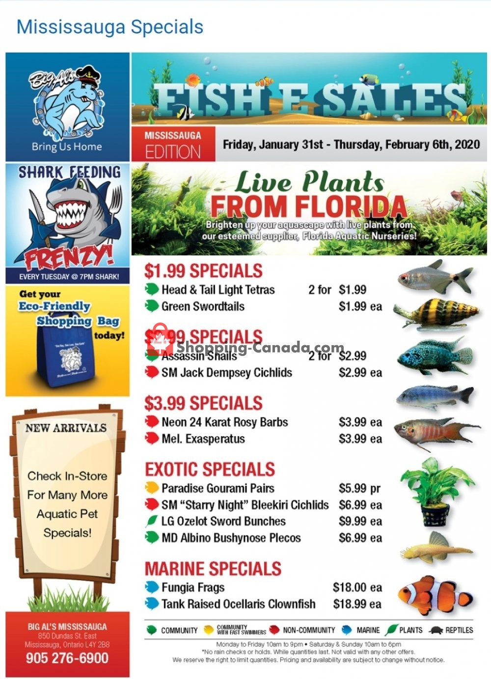 Big Al's flyer from Friday January 31, 2020 to Thursday February 6, 2020 - page 1