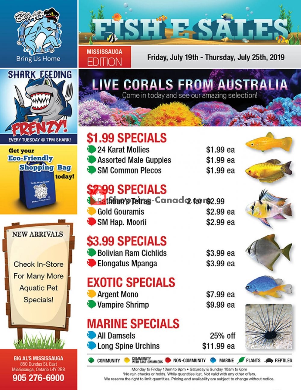 Big Al's flyer from Friday July 19, 2019 to Thursday July 25, 2019 - page 1