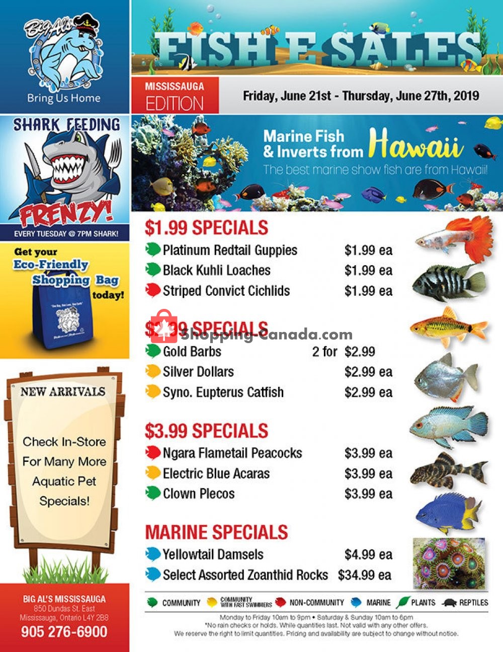 Big Al's flyer from Friday June 21, 2019 to Thursday June 27, 2019 - page 1