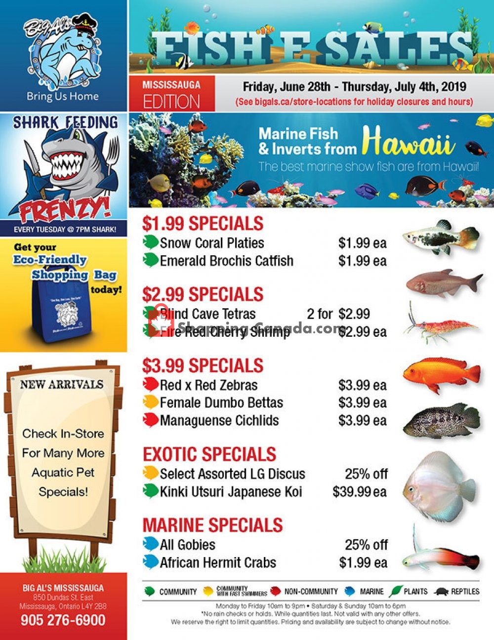 Big Al's flyer from Friday June 28, 2019 to Thursday July 4, 2019 - page 1