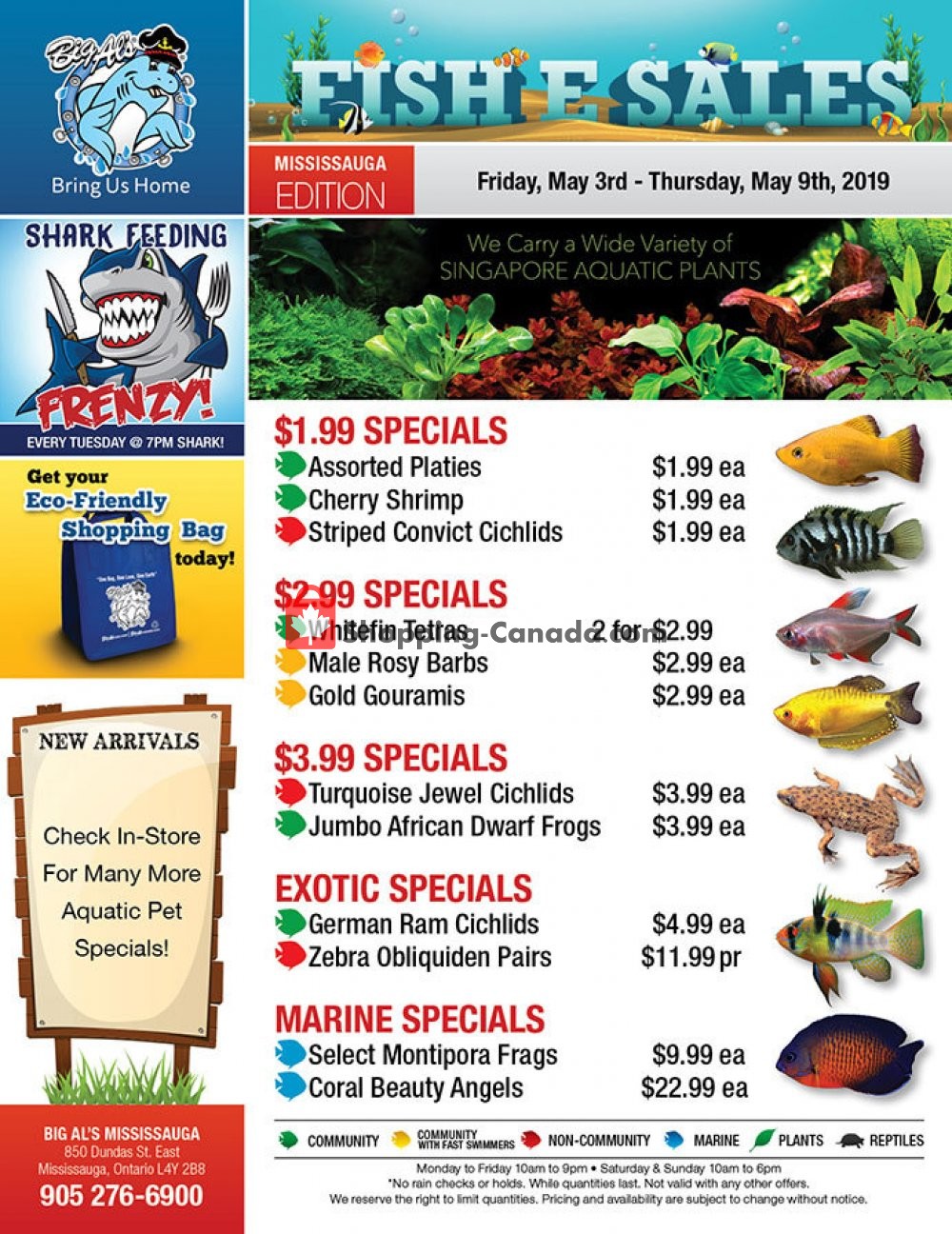Big Al's flyer from Friday May 3, 2019 to Thursday May 9, 2019 - page 1