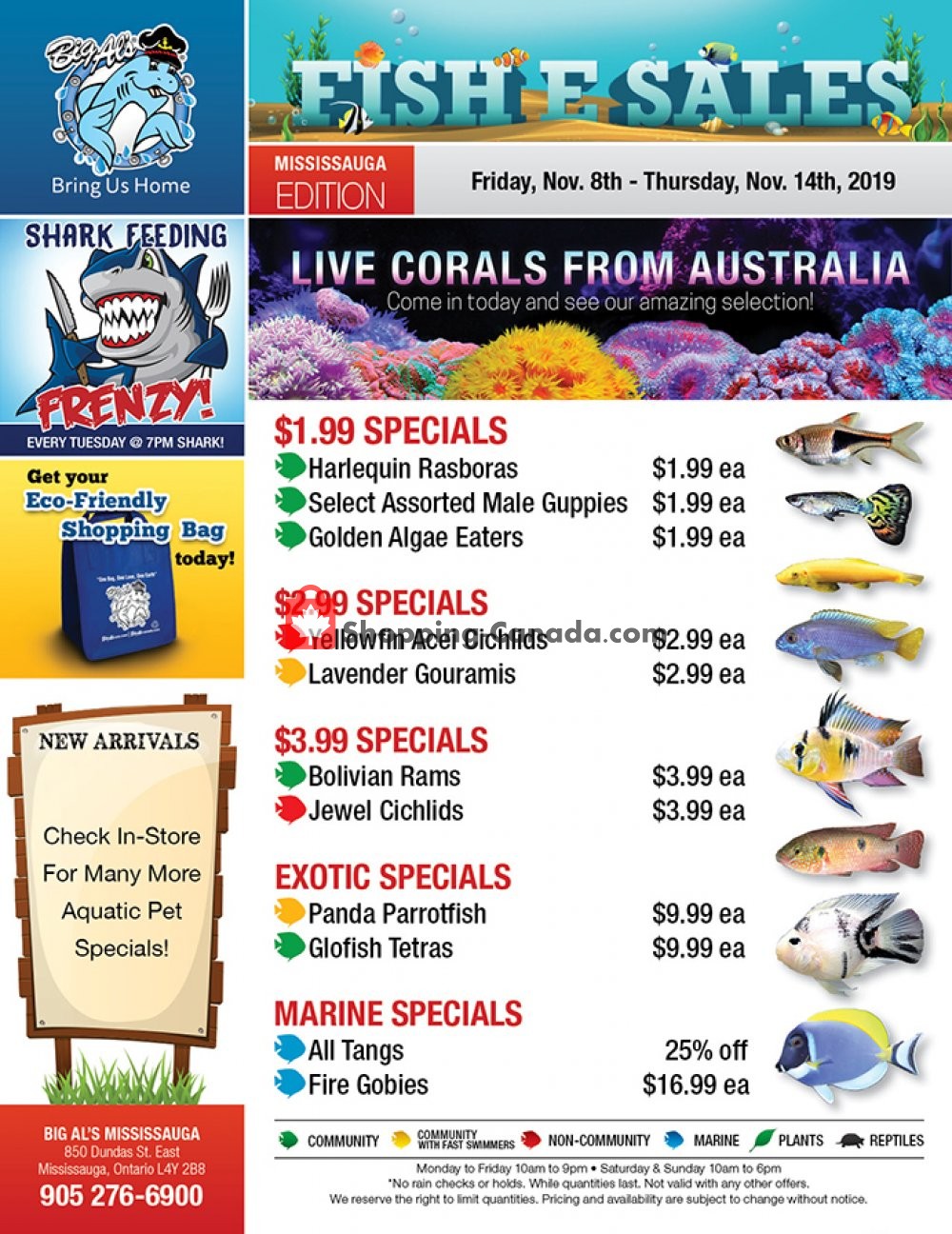 Big Al's flyer from Friday November 8, 2019 to Thursday November 14, 2019 - page 1