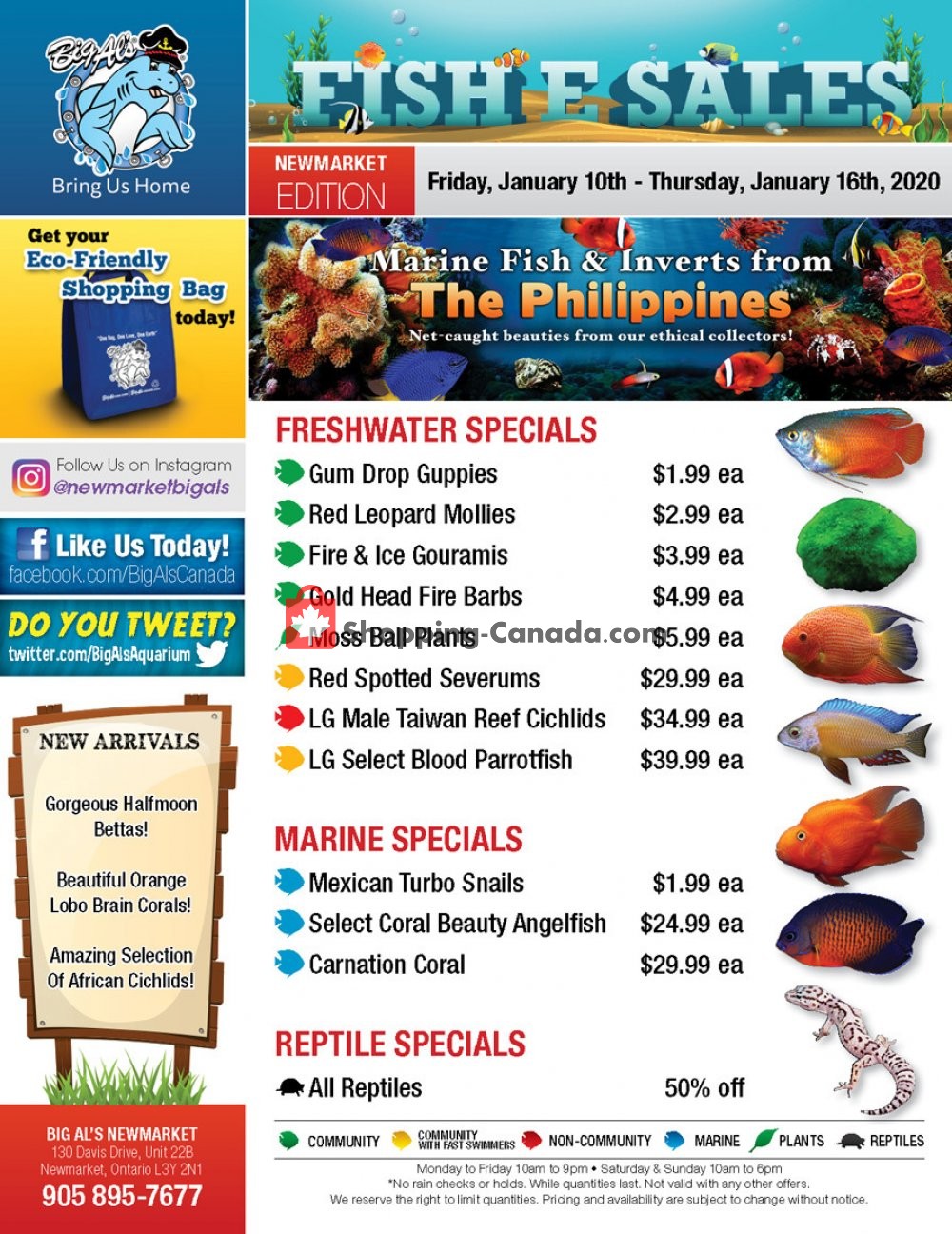 Big Al's flyer from Friday January 10, 2020 to Thursday January 16, 2020 - page 1