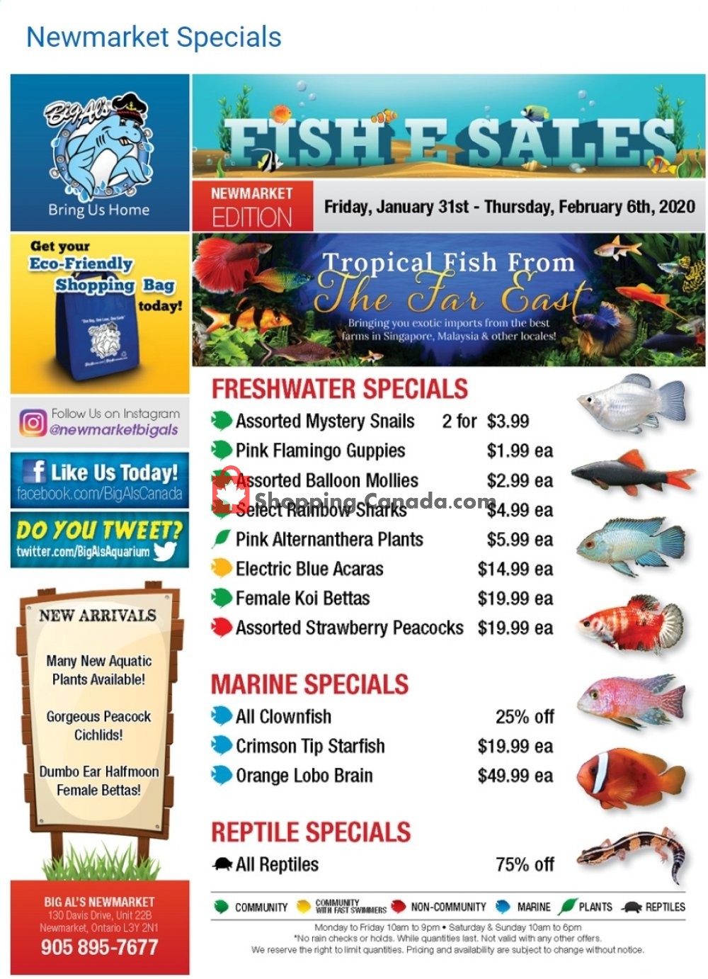 Big Al's flyer from Friday January 31, 2020 to Thursday February 6, 2020 - page 1