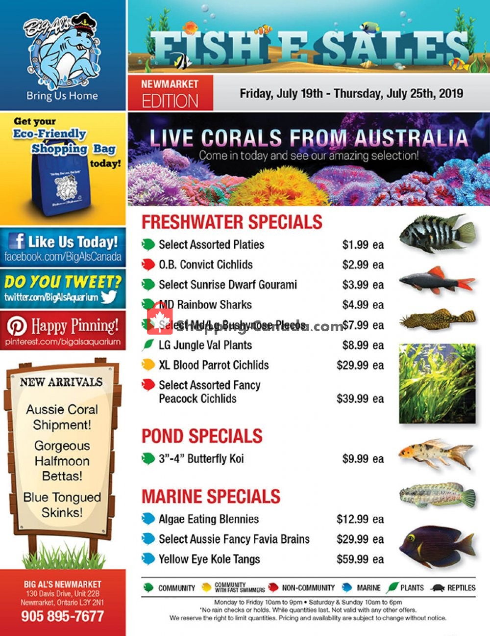 Big Al's flyer from Friday July 19, 2019 to Thursday July 25, 2019 - page 1