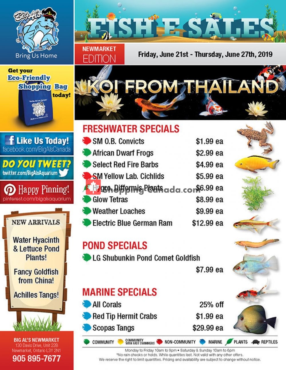 Big Al's flyer from Friday June 21, 2019 to Thursday June 27, 2019 - page 1