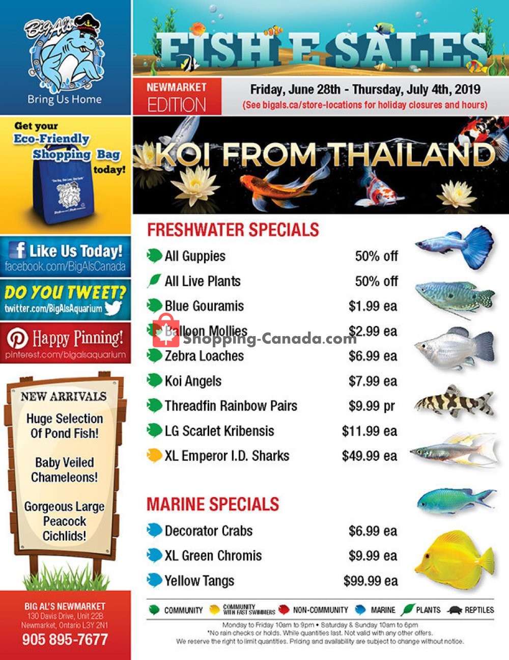 Big Al's flyer from Friday June 28, 2019 to Thursday July 4, 2019 - page 1