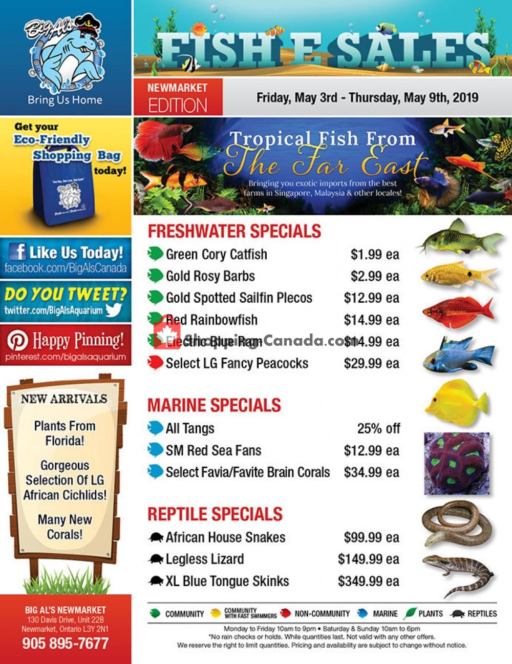 Big Al's flyer from Friday May 3, 2019 to Thursday May 9, 2019 - page 1