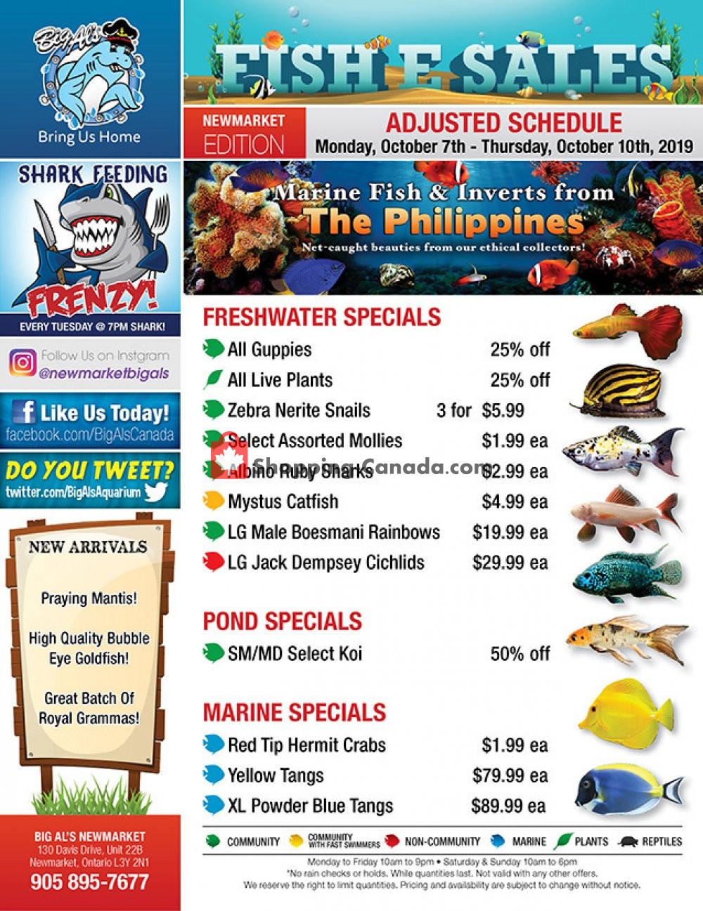 Big Al's flyer from Monday October 7, 2019 to Thursday October 10, 2019 - page 1
