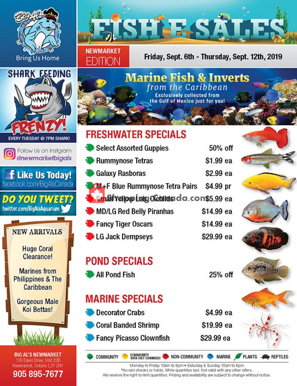 Big Al's flyer from Friday September 6, 2019 to Thursday September 12, 2019 - page 1