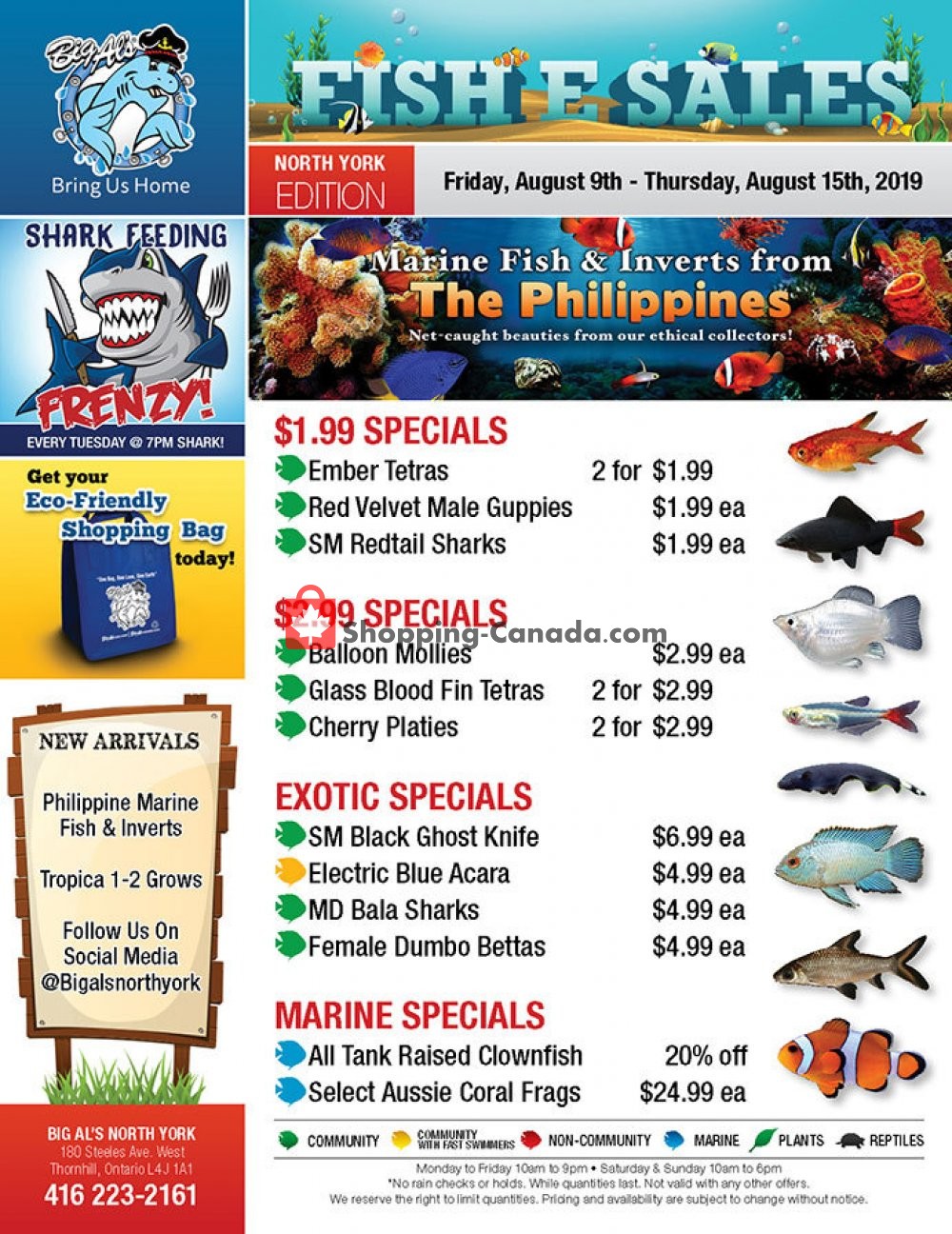 Big Al's flyer from Friday August 9, 2019 to Thursday August 15, 2019 - page 1