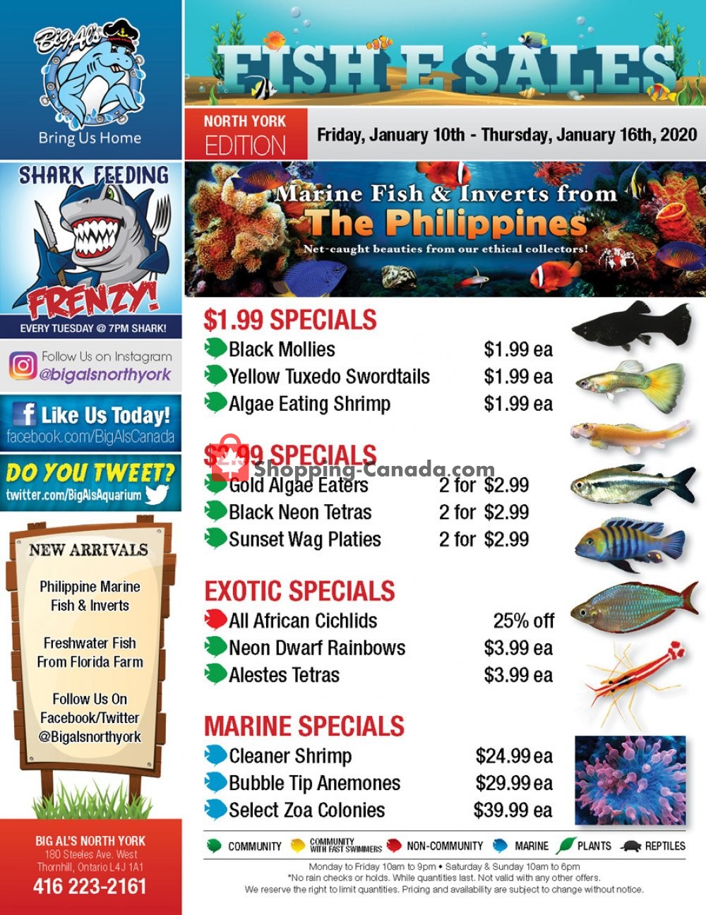 Big Al's flyer from Friday January 10, 2020 to Thursday January 16, 2020 - page 1