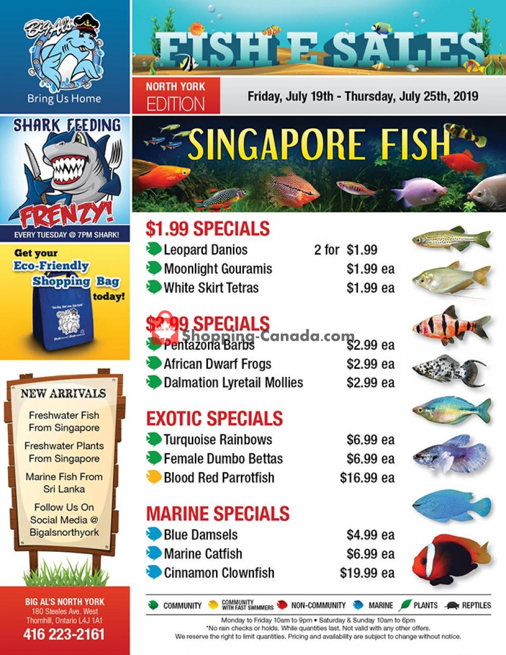 Big Al's flyer from Friday July 19, 2019 to Thursday July 25, 2019 - page 1