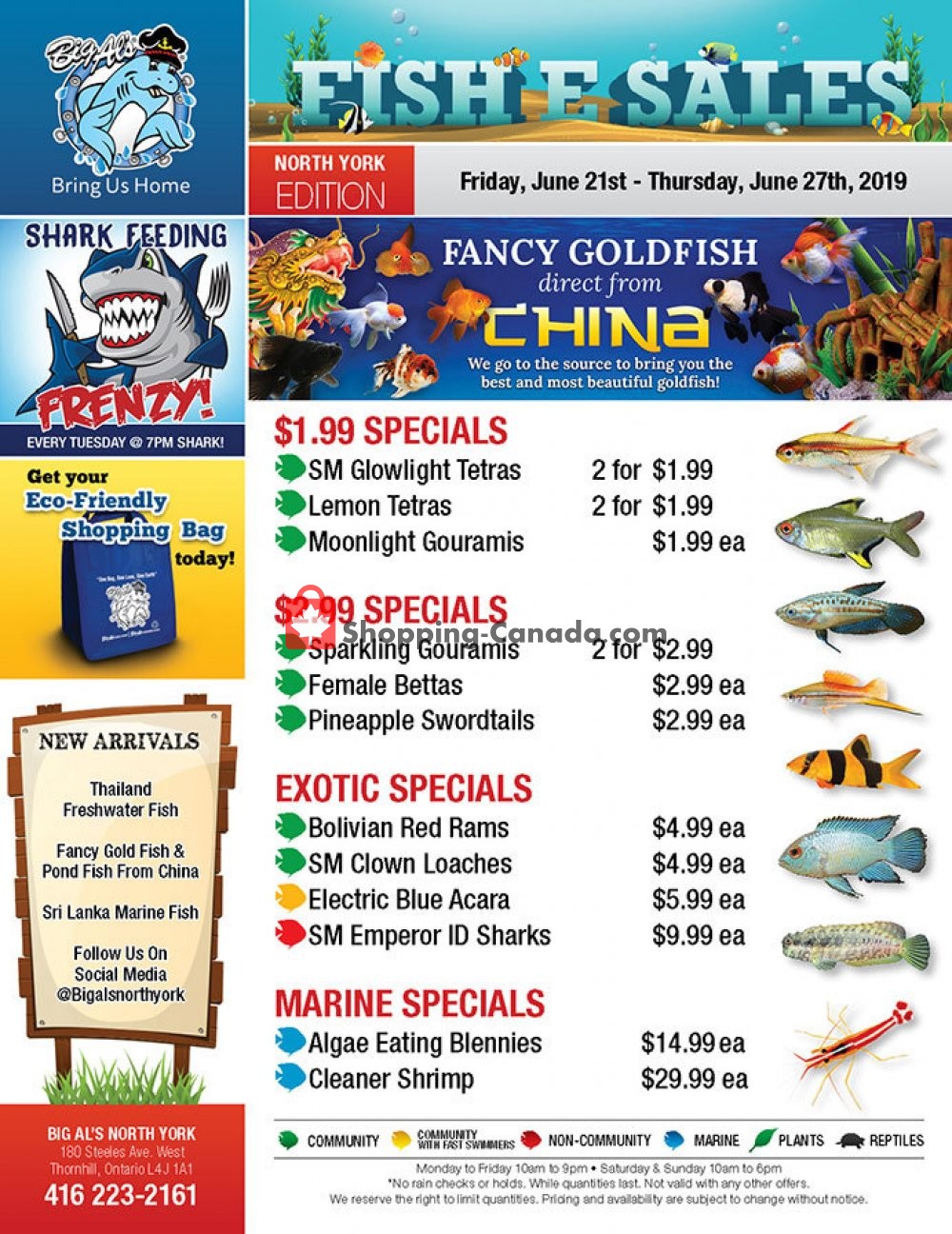 Big Al's flyer from Friday June 21, 2019 to Thursday June 27, 2019 - page 1