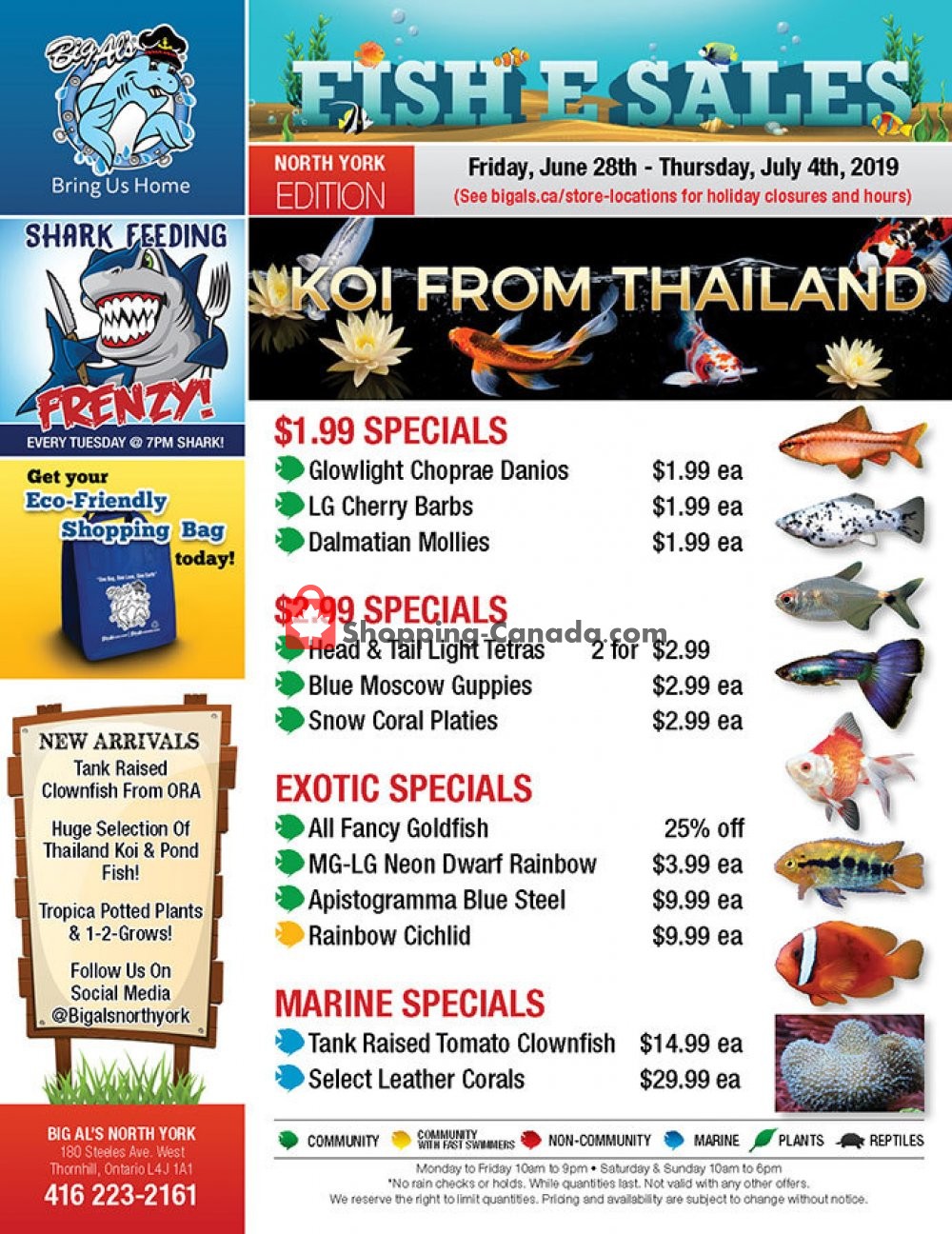 Big Al's flyer from Friday June 28, 2019 to Thursday July 4, 2019 - page 1