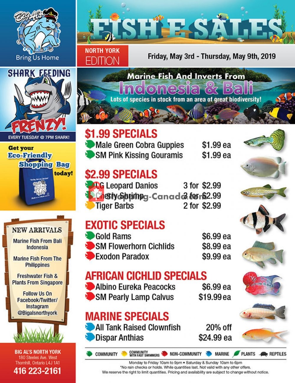 Big Al's flyer from Friday May 3, 2019 to Thursday May 9, 2019 - page 1