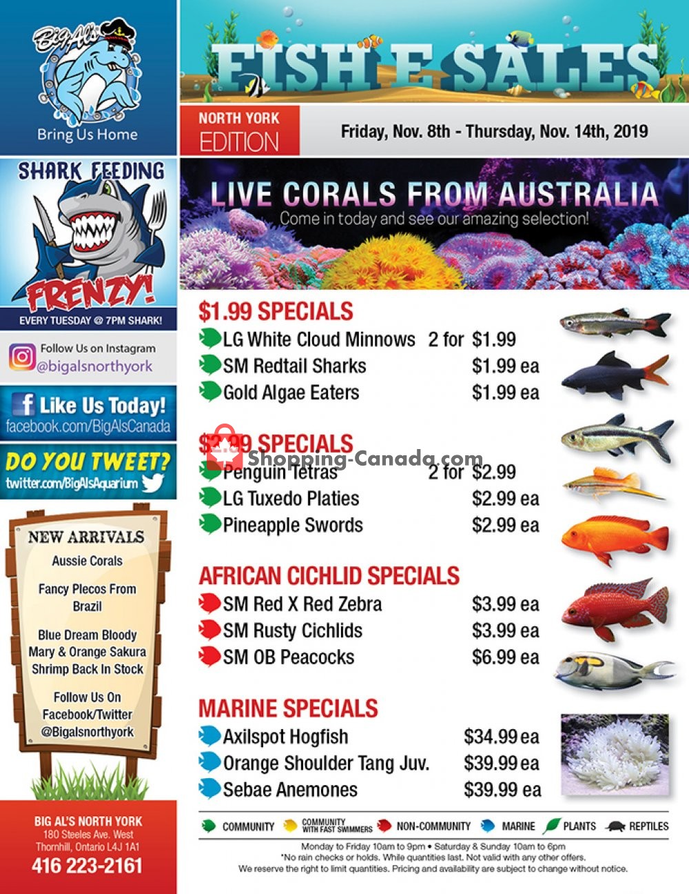 Big Al's flyer from Friday November 8, 2019 to Thursday November 14, 2019 - page 1