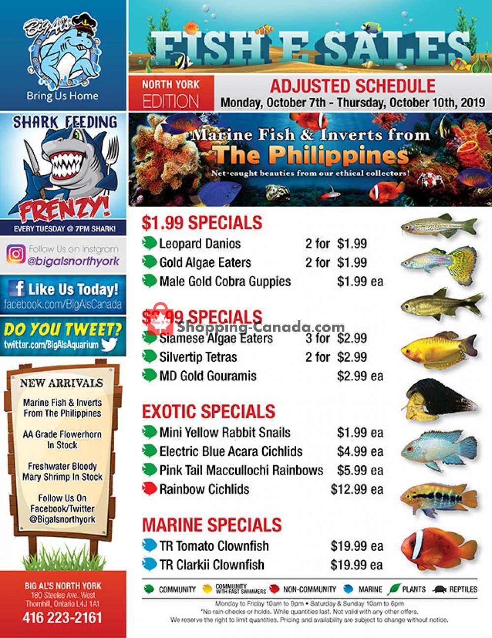 Big Al's flyer from Monday October 7, 2019 to Thursday October 10, 2019 - page 1