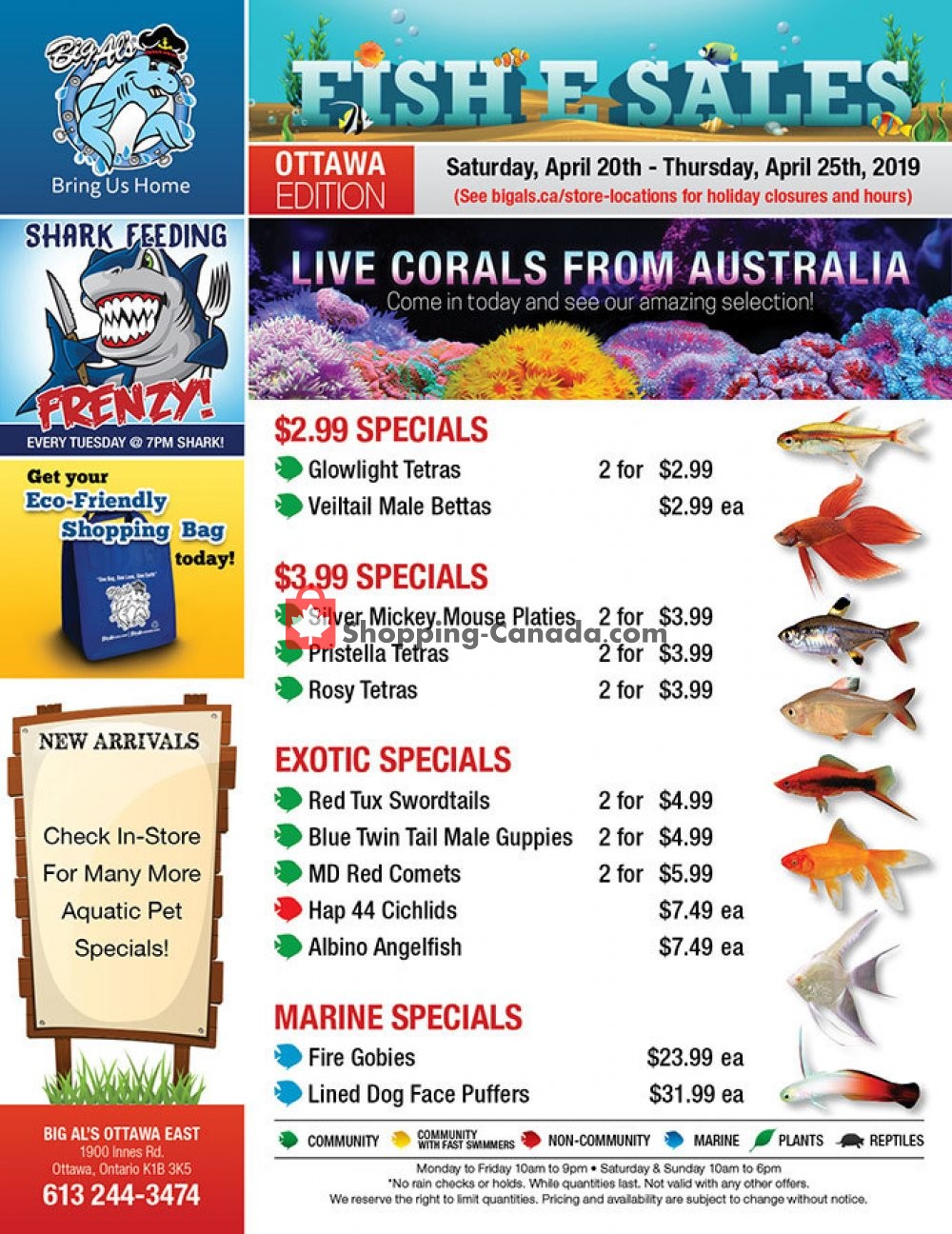 Big Al's flyer from Saturday April 20, 2019 to Thursday April 25, 2019 - page 1