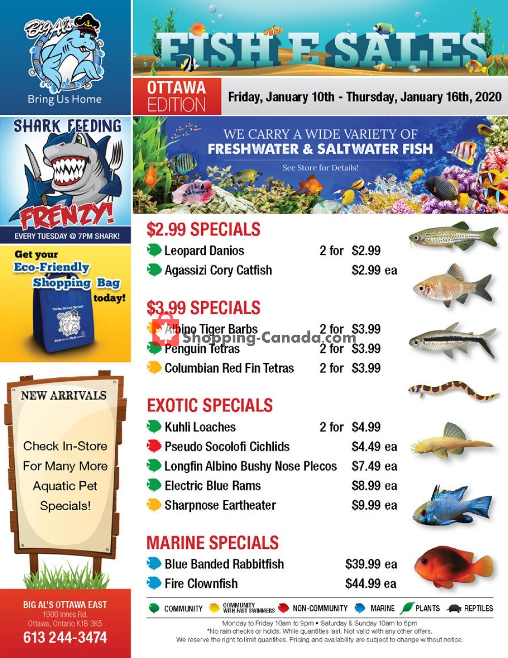 Big Al's flyer from Friday January 10, 2020 to Thursday January 16, 2020 - page 1