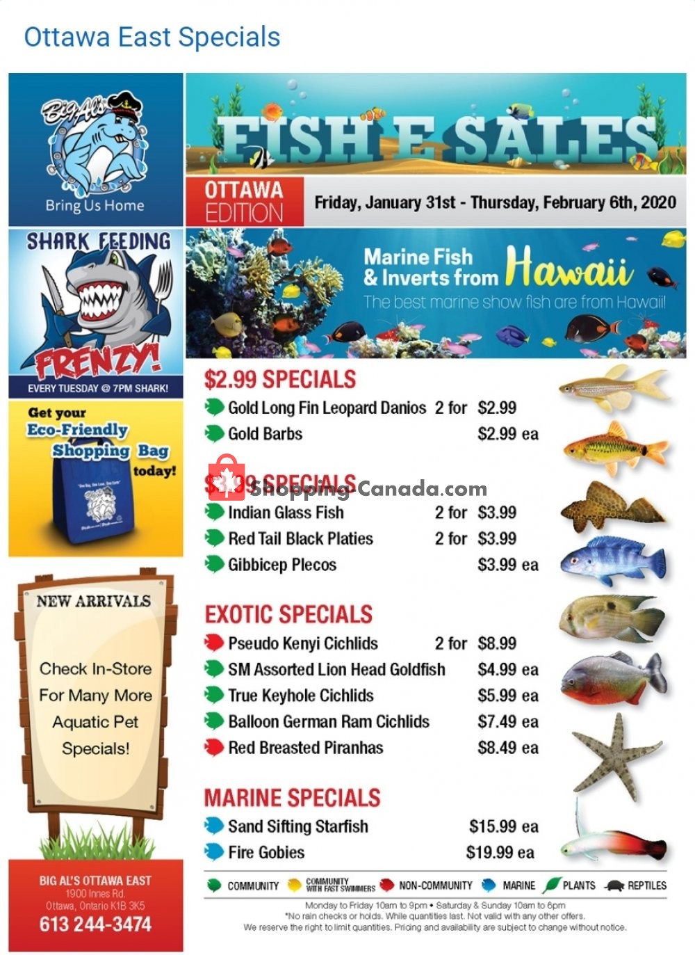 Big Al's flyer from Friday January 31, 2020 to Thursday February 6, 2020 - page 1