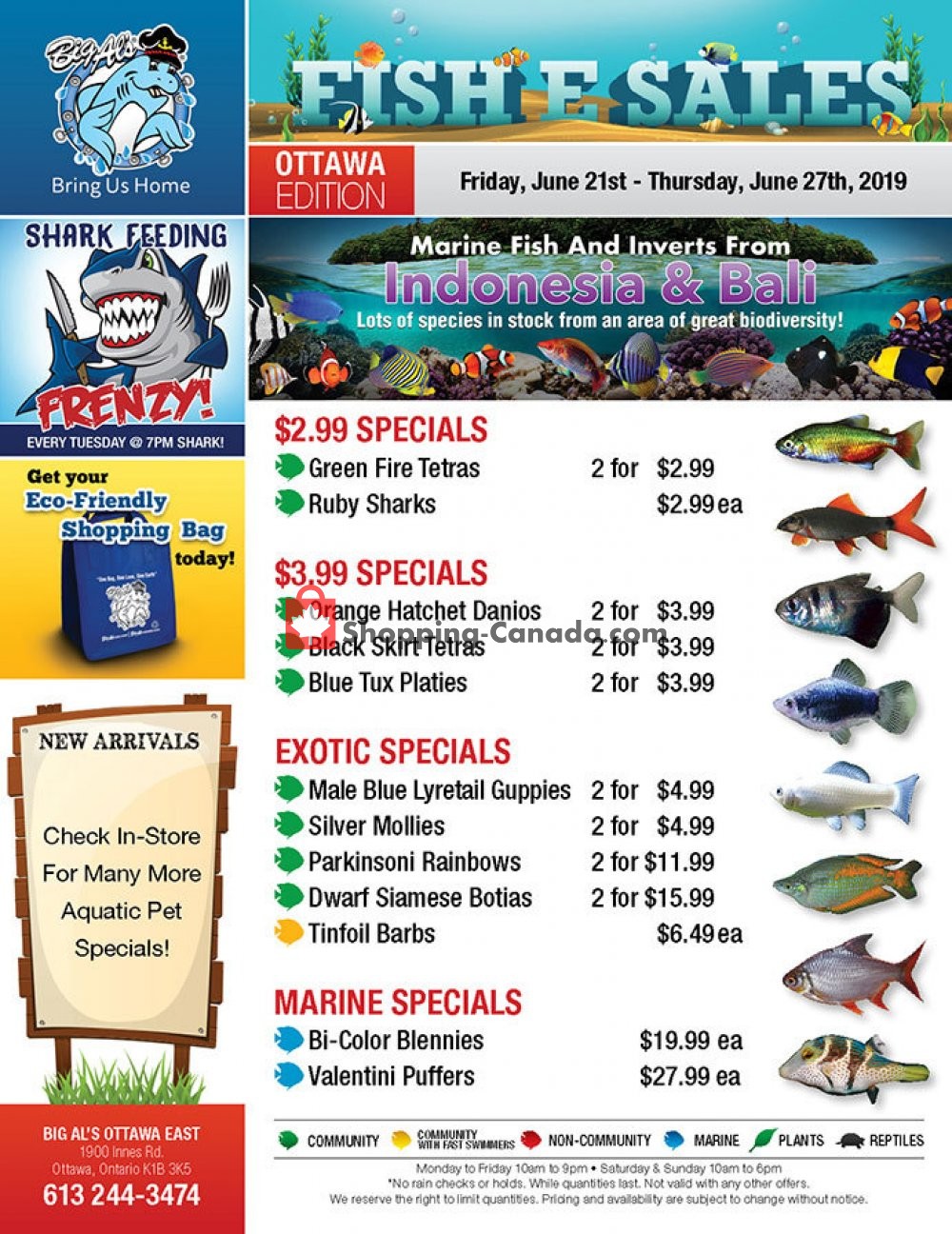 Big Al's flyer from Friday June 21, 2019 to Thursday June 27, 2019 - page 1