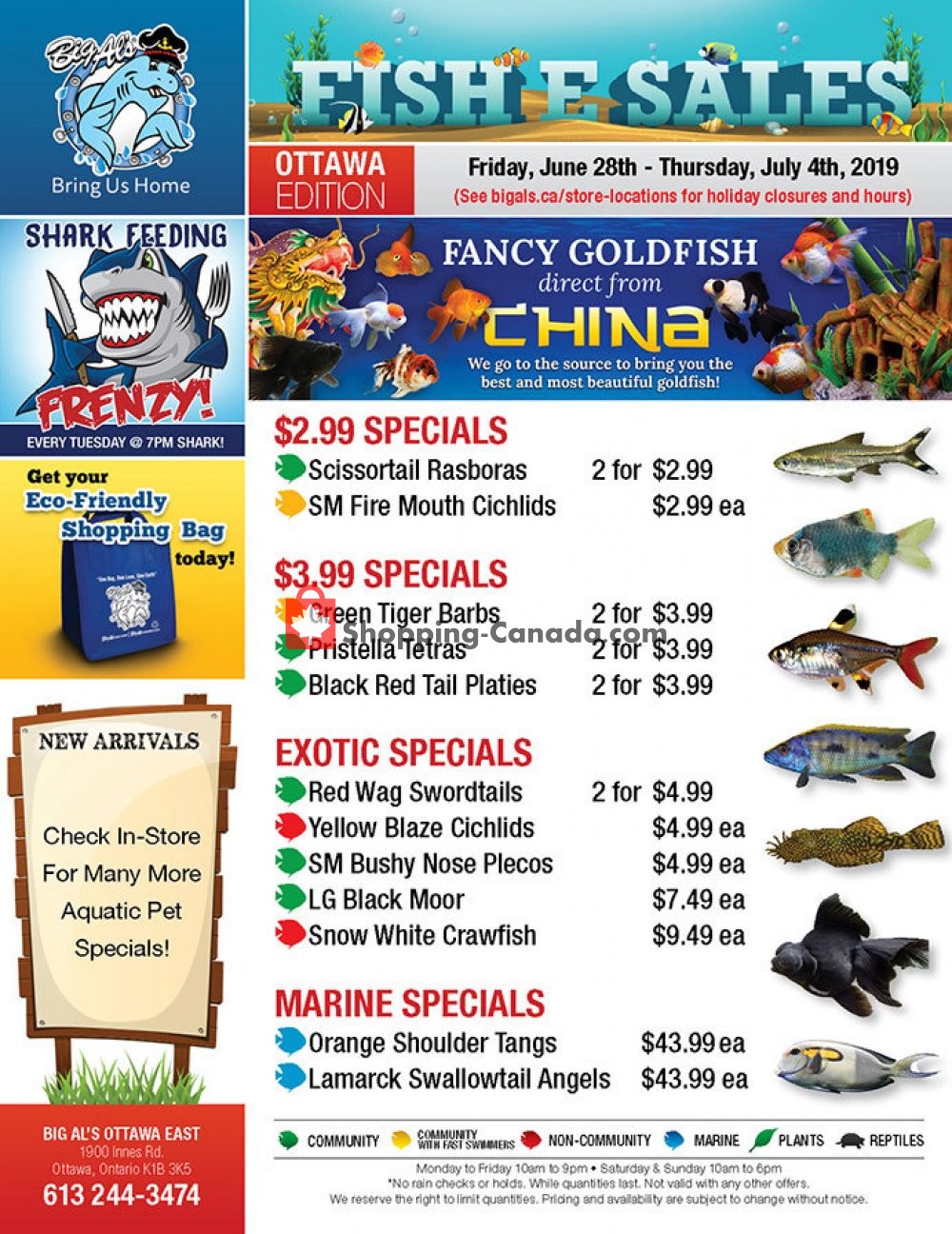 Big Al's flyer from Friday June 28, 2019 to Thursday July 4, 2019 - page 1