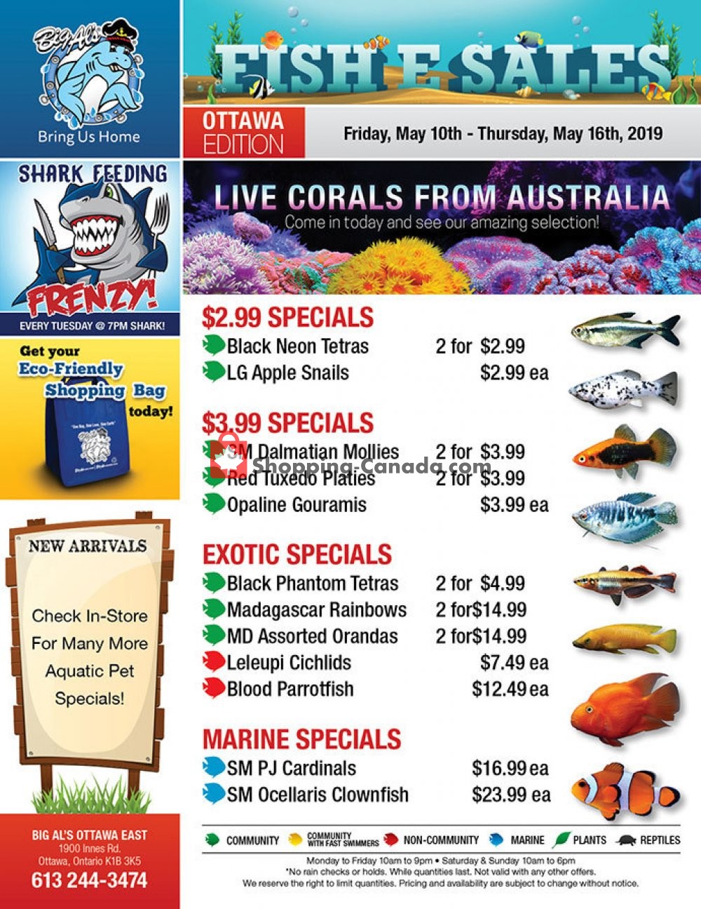 Big Al's flyer from Friday May 10, 2019 to Thursday May 16, 2019 - page 1