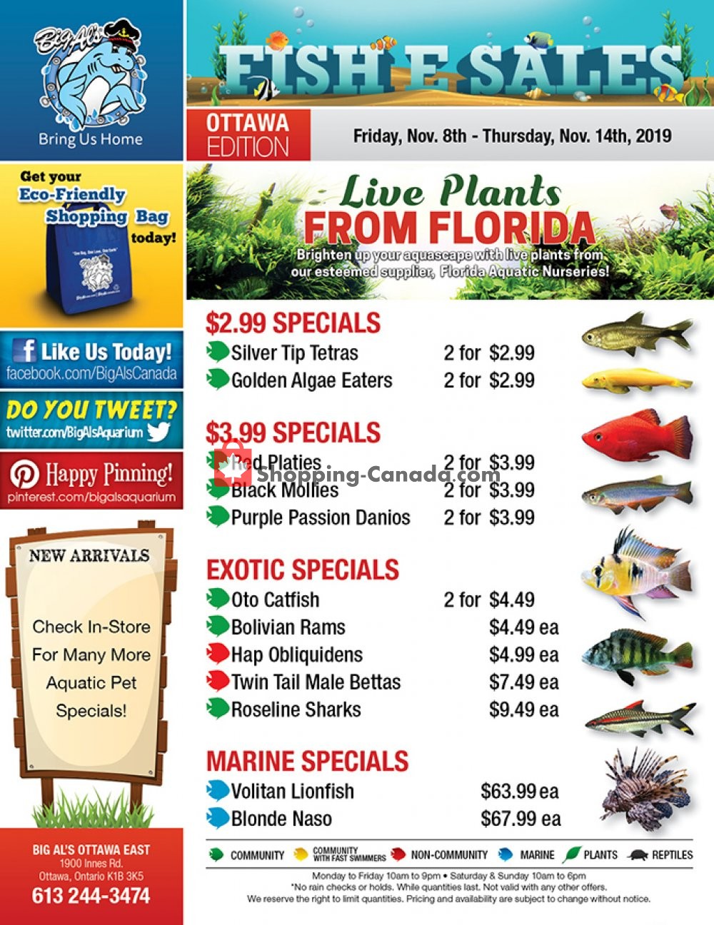 Big Al's flyer from Friday November 8, 2019 to Thursday November 14, 2019 - page 1