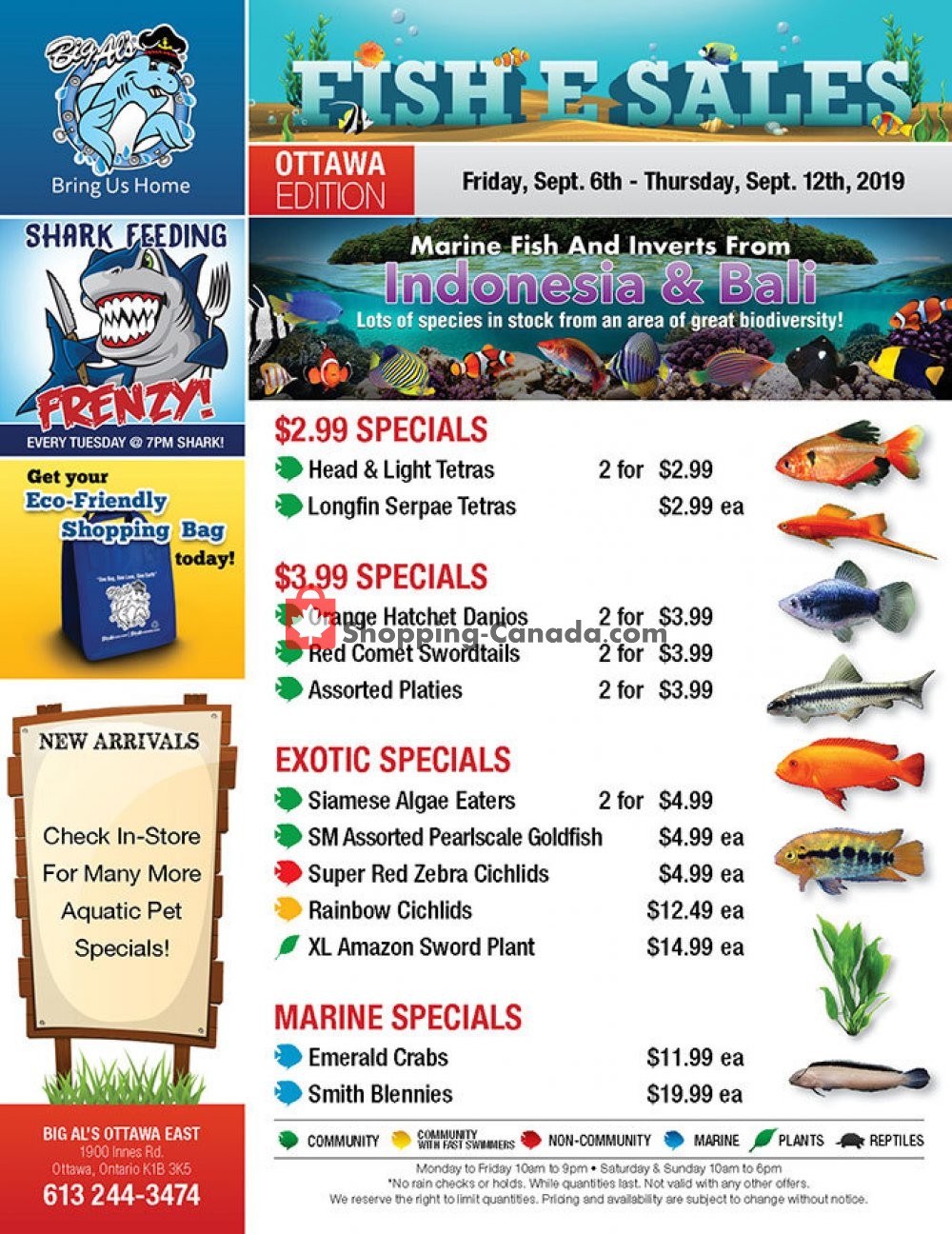 Big Al's flyer from Friday September 6, 2019 to Thursday September 12, 2019 - page 1