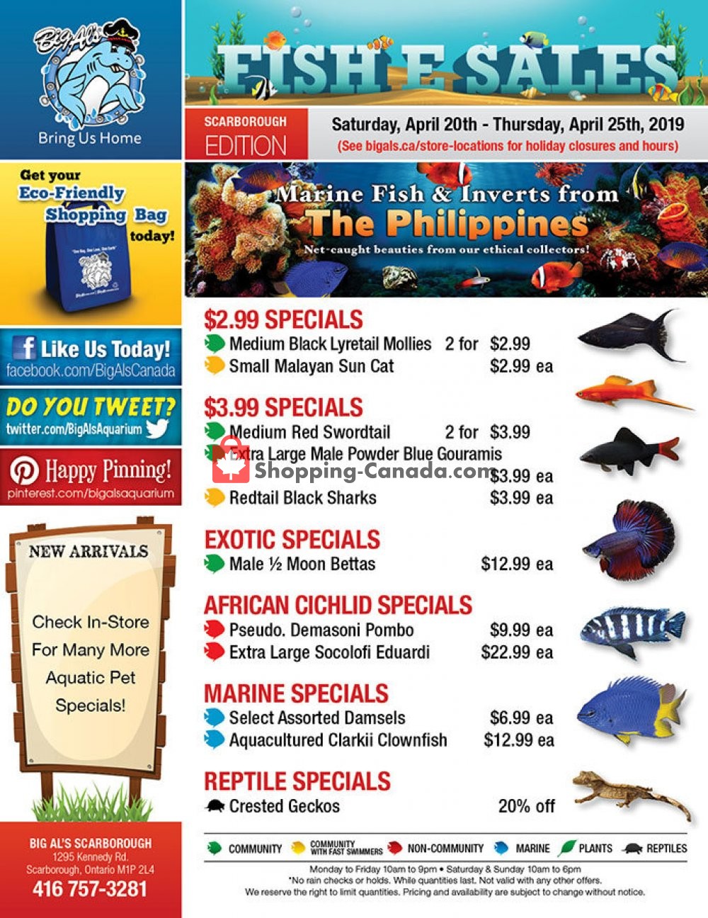 Big Al's flyer from Saturday April 20, 2019 to Thursday April 25, 2019 - page 1