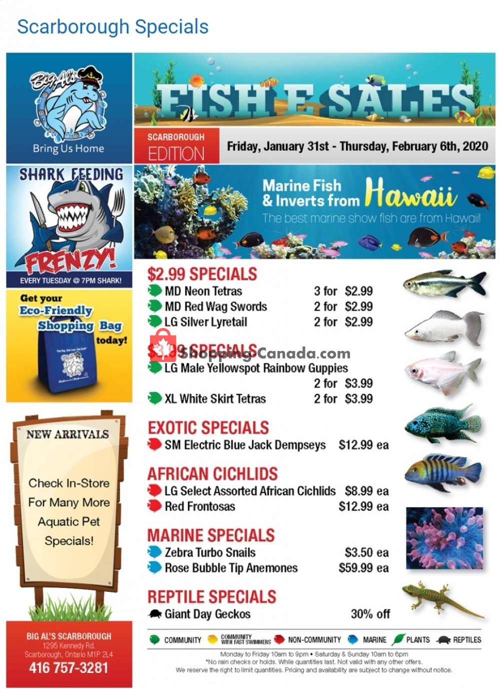 Big Al's flyer from Friday January 31, 2020 to Thursday February 6, 2020 - page 1