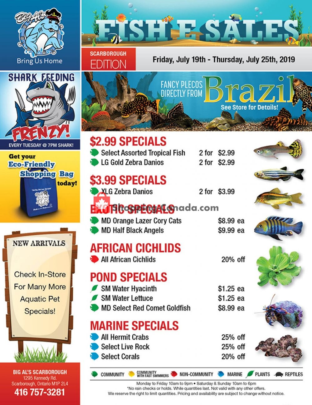 Big Al's flyer from Friday July 19, 2019 to Thursday July 25, 2019 - page 1
