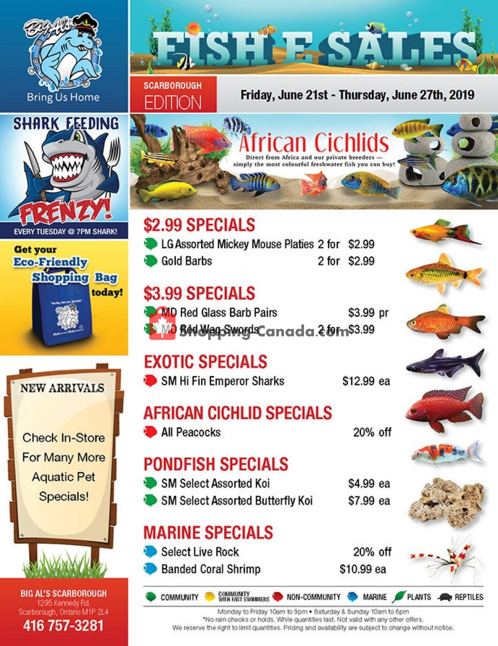 Big Al's flyer from Friday June 21, 2019 to Thursday June 27, 2019 - page 1