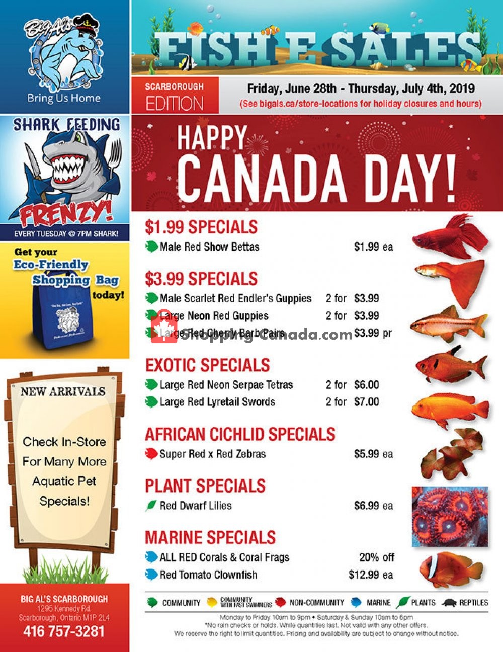 Big Al's flyer from Friday June 28, 2019 to Thursday July 4, 2019 - page 1
