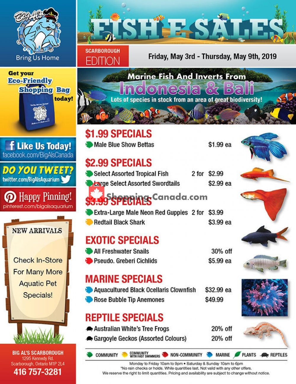 Big Al's flyer from Friday May 3, 2019 to Thursday May 9, 2019 - page 1