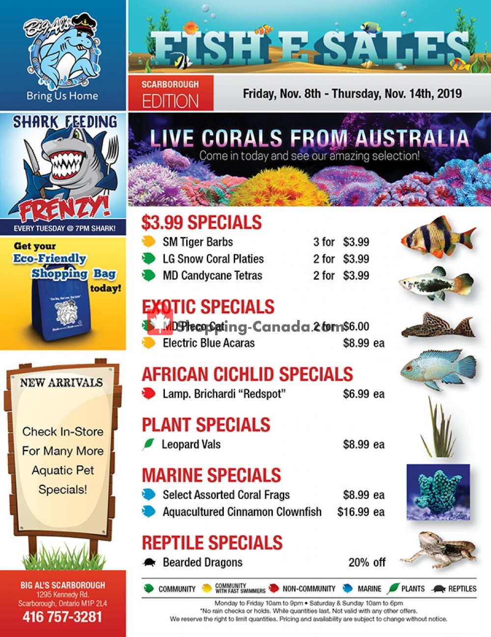Big Al's flyer from Friday November 8, 2019 to Thursday November 14, 2019 - page 1