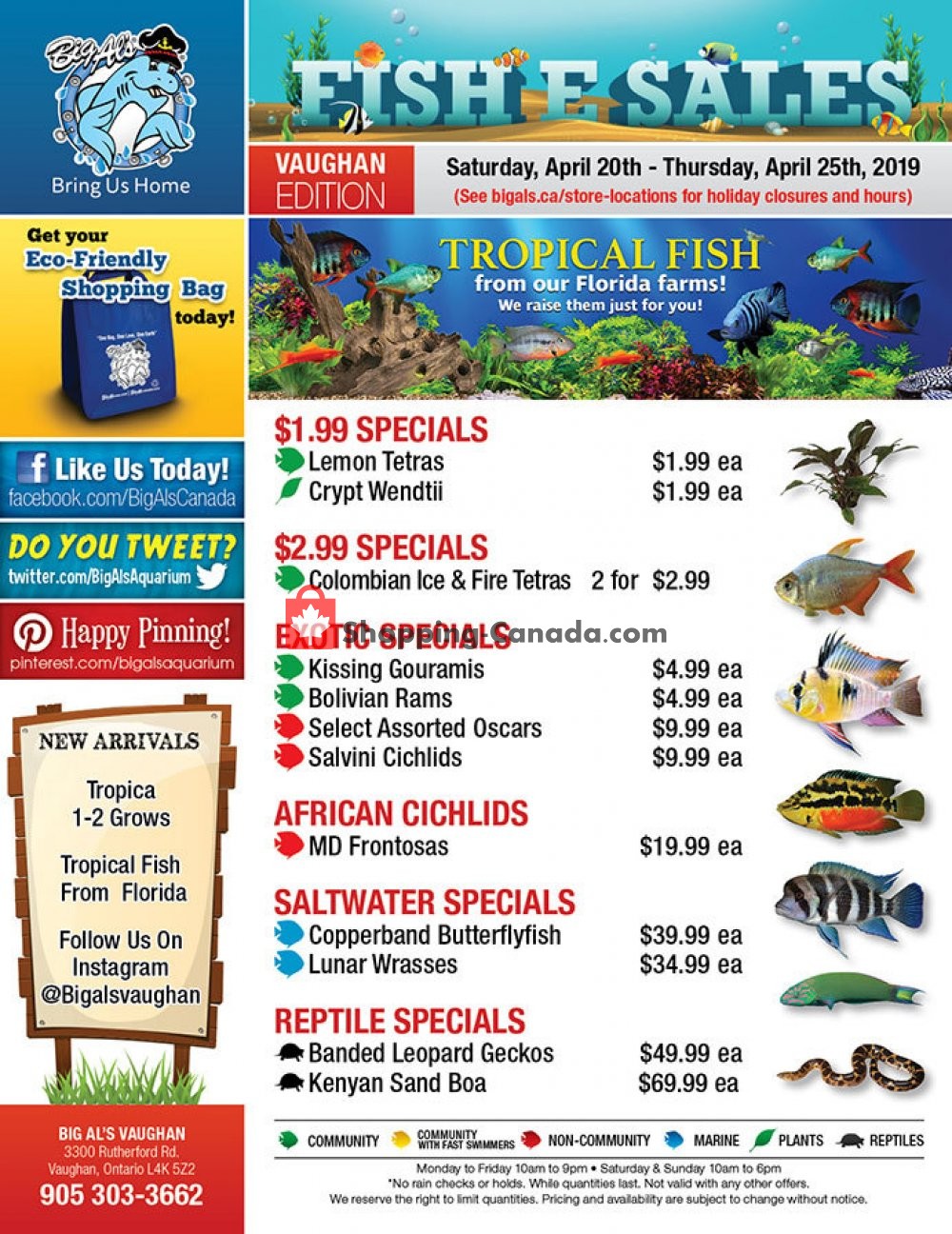 Big Al's flyer from Saturday April 20, 2019 to Thursday April 25, 2019 - page 1