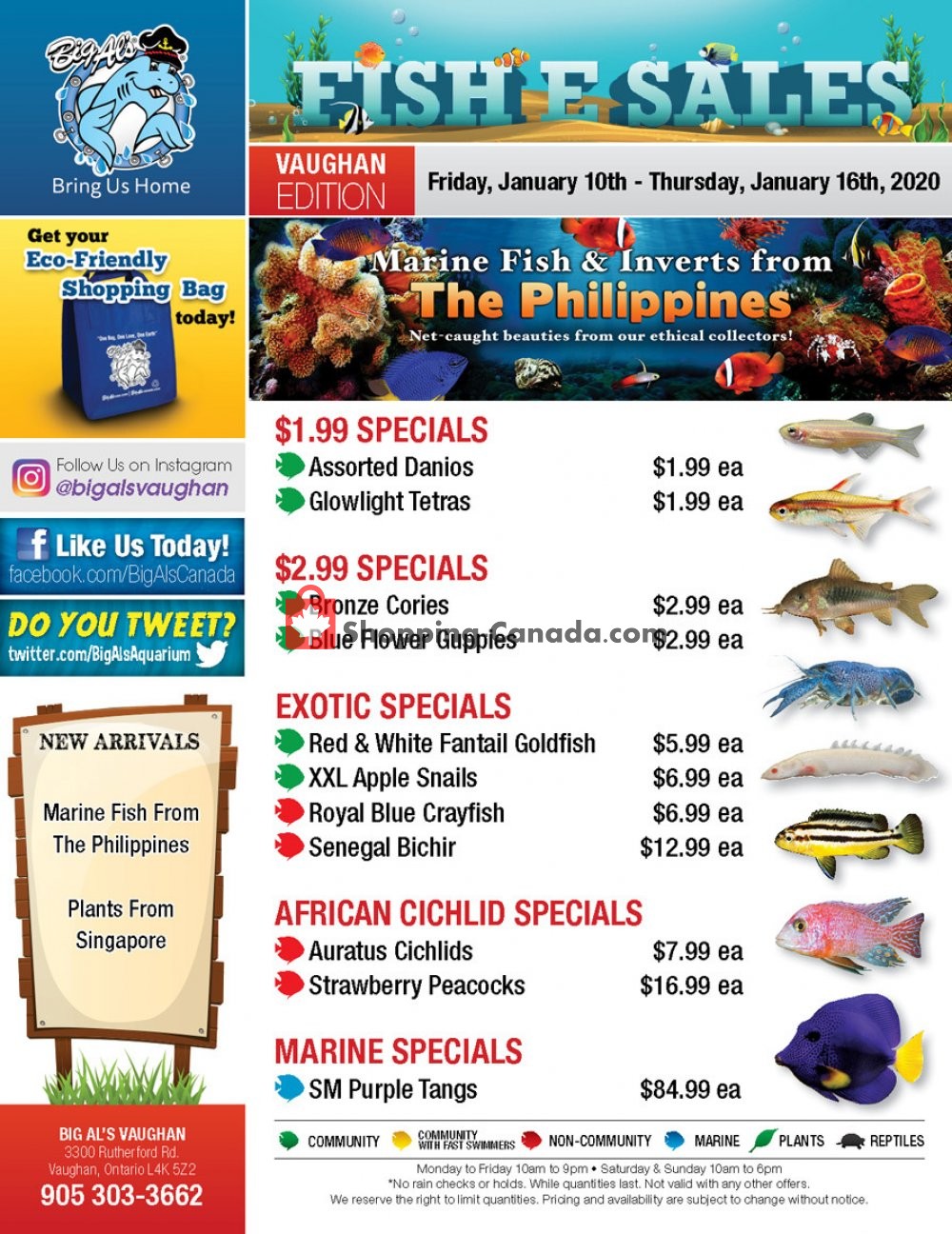 Big Al's flyer from Friday January 10, 2020 to Thursday January 16, 2020 - page 1
