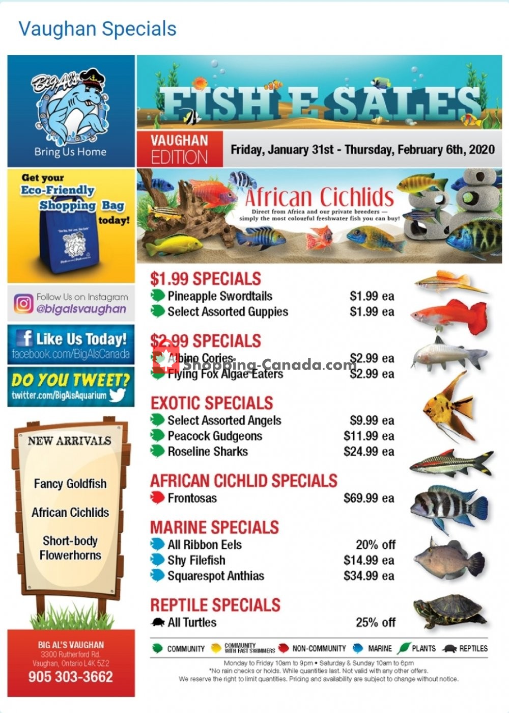 Big Al's flyer from Friday January 31, 2020 to Thursday February 6, 2020 - page 1