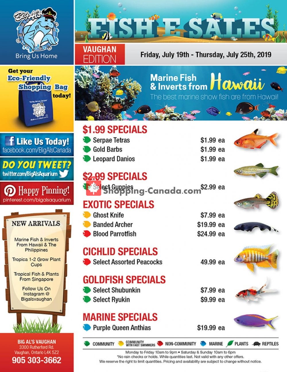 Big Al's flyer from Friday July 19, 2019 to Thursday July 25, 2019 - page 1