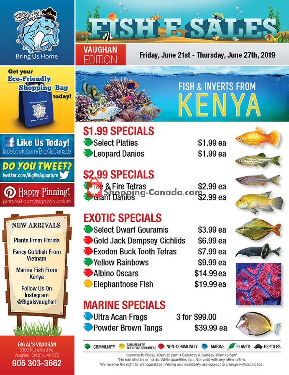 Big Al's flyer from Friday June 21, 2019 to Thursday June 27, 2019 - page 1